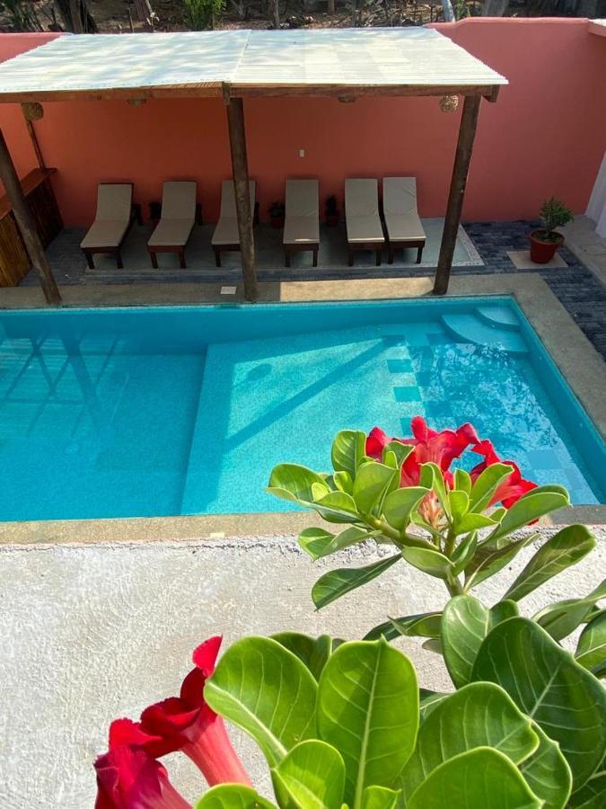 Casa Suites Minizoo Puerto Escondido  Eksteriør billede